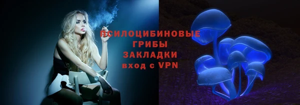 сатива Алзамай