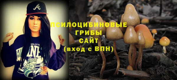 молекула духа Алексин