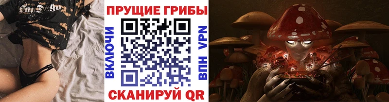 Купить  Багратионовск  Галлюциногенные грибы GOLDEN TEACHER 